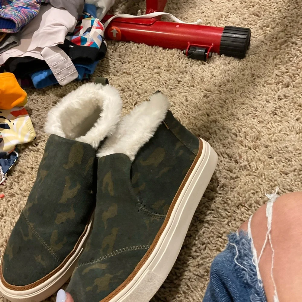 Cute Toms!! - Picture 2 of 2